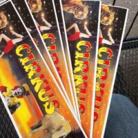 2014 Foto: Katja 2014 Foto: Katja