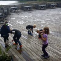 Rolfstorp 2014 - (35) Rolfstorp 2014 - (35)