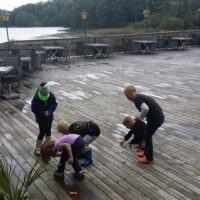 Rolfstorp 2014 - (36) Rolfstorp 2014 - (36)