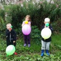 Rolfstorp 2014 - (38) Rolfstorp 2014 - (38)