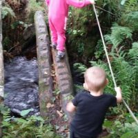 Rolfstorp 2014 - (46) Rolfstorp 2014 - (46)