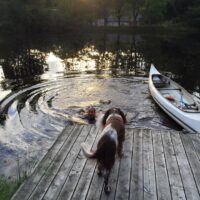 Vrå 2015 - Foto Katja Vrå 2015 - Foto Katja