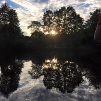 Vrå 2015 - Foto Katja Vrå 2015 - Foto Katja